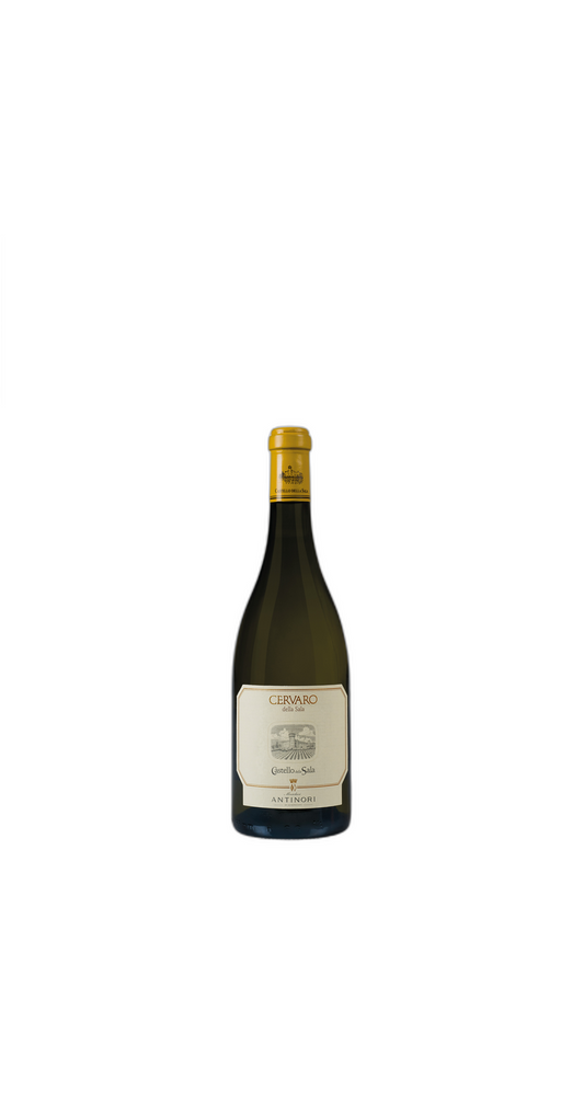 Cervaro della Sala 2021 75cl Antinori