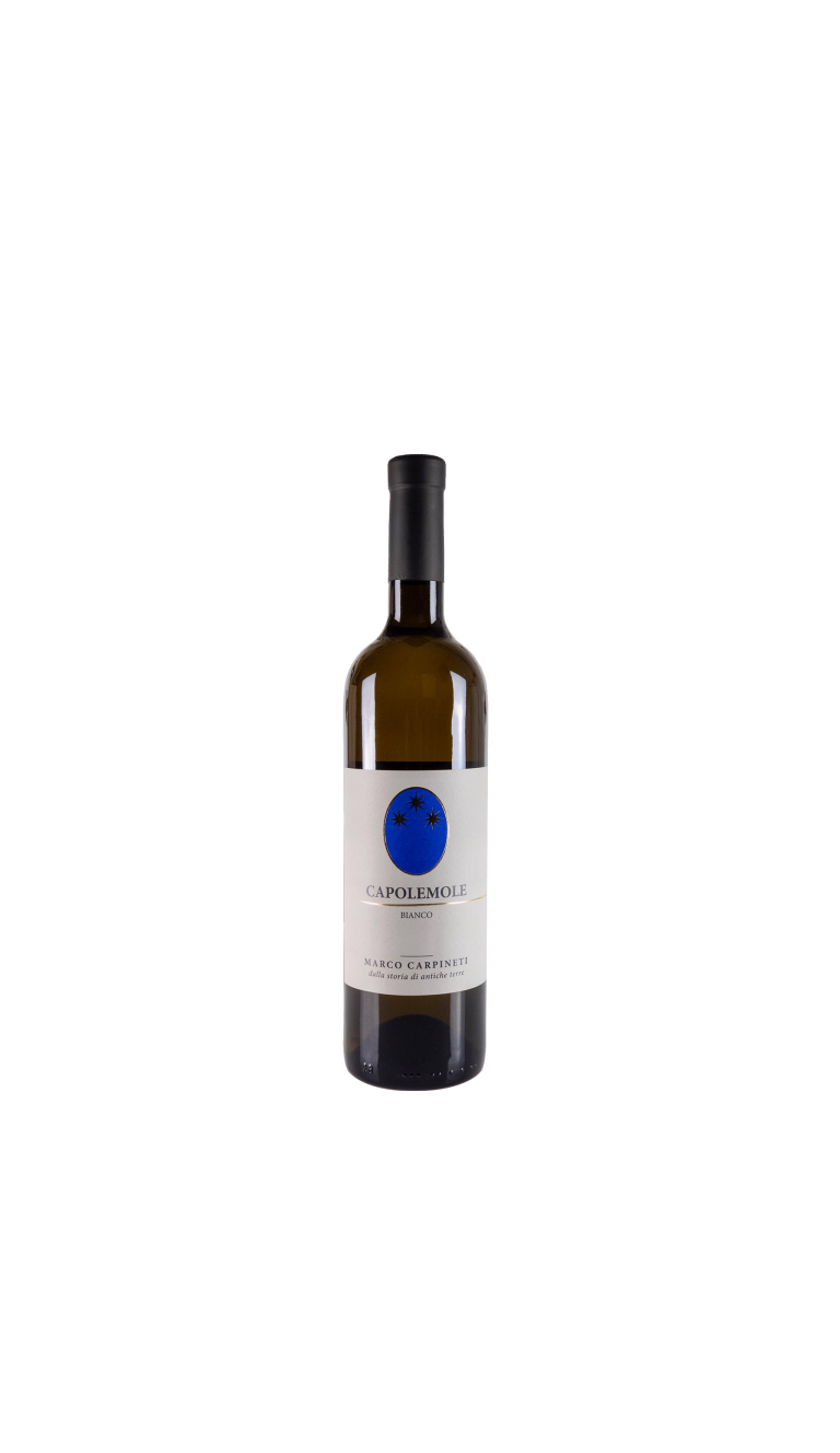 Capolemole Bianco 2024 Marco Carpineti IGT 75 cl